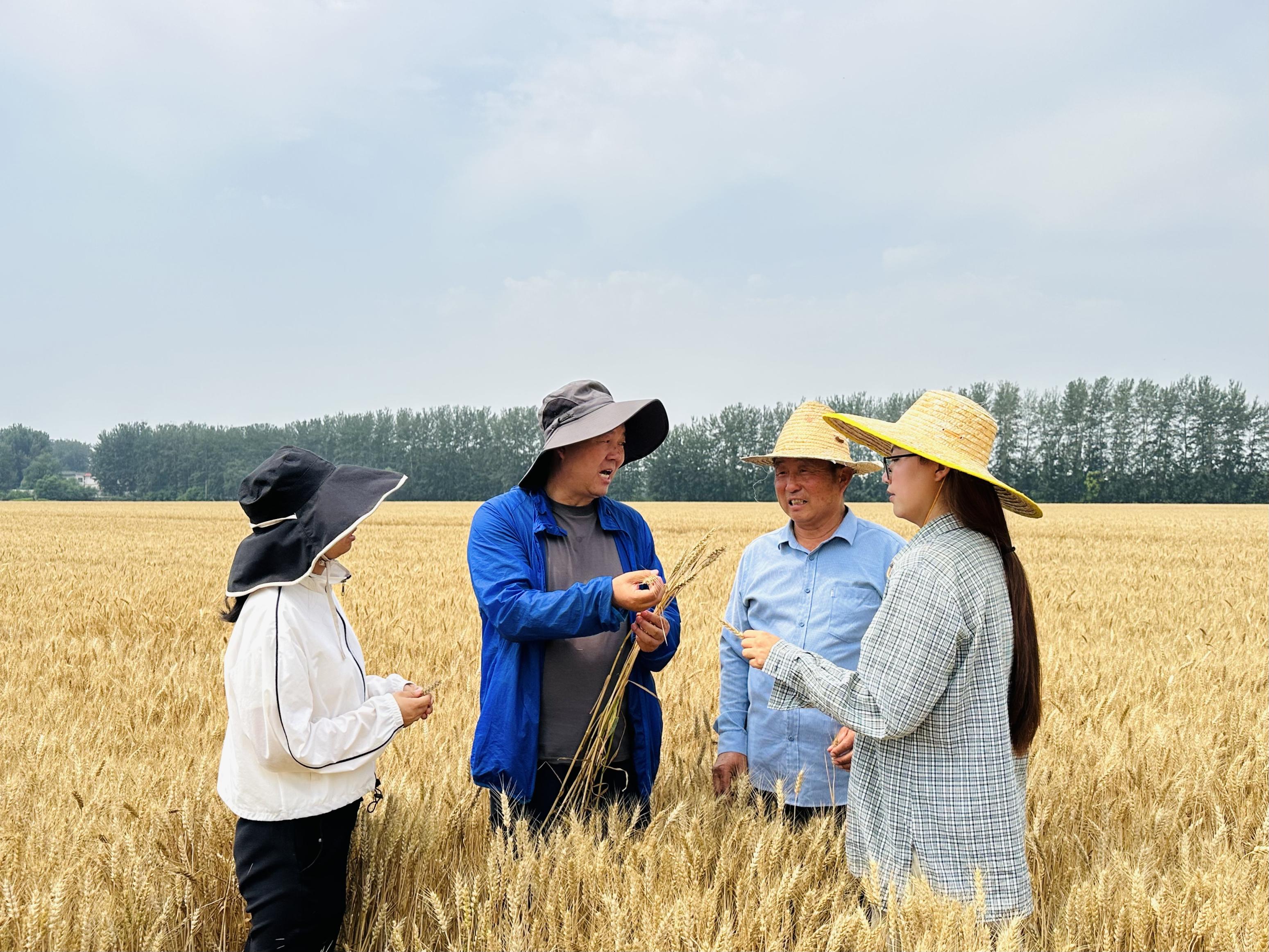 1557555070970520.jpg 0d852f738364285b213794a15027e1d.jpg