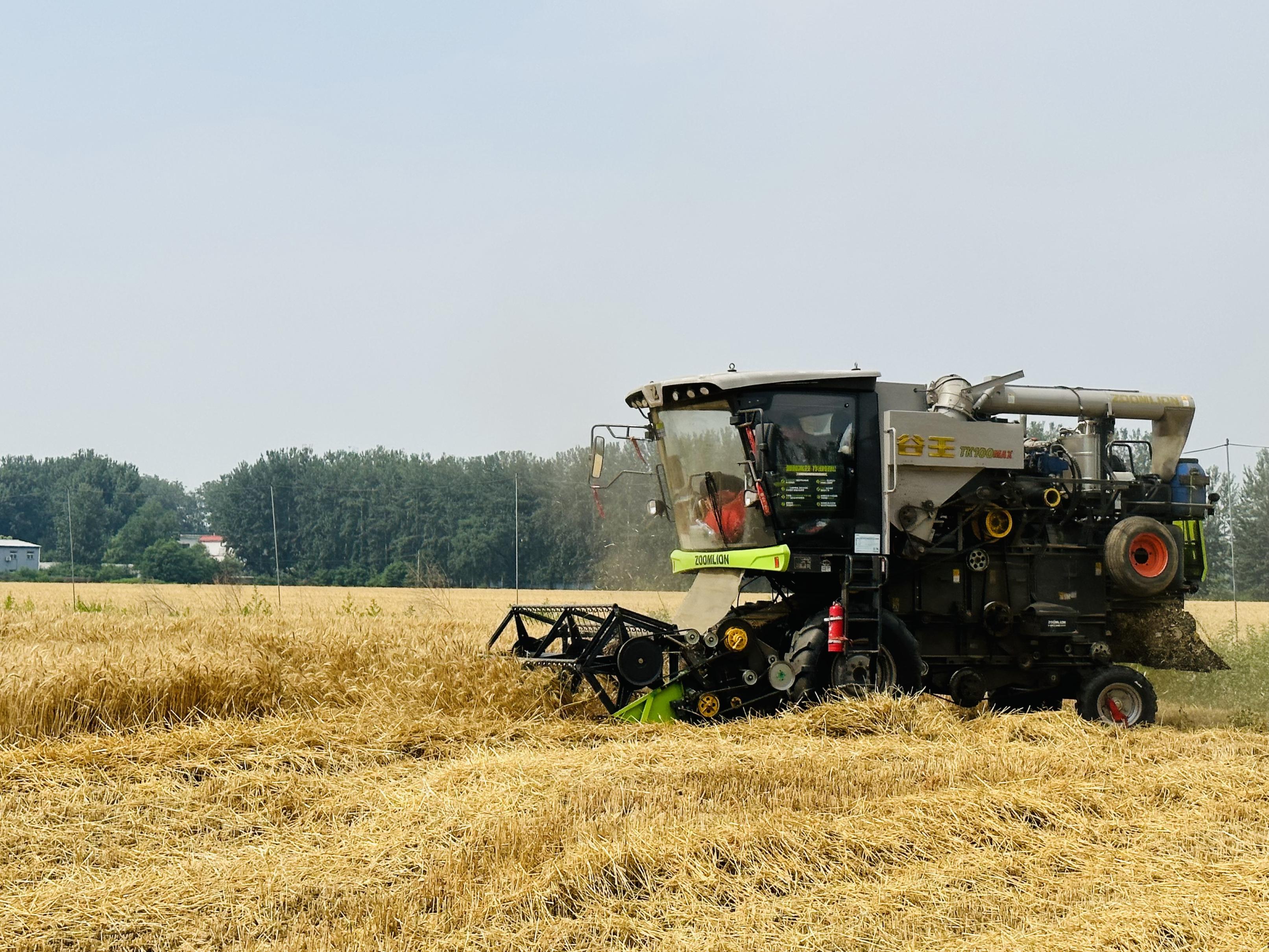 1556041209497531.jpg 2cfd8837631592b37f9bb680b7452e8.jpg